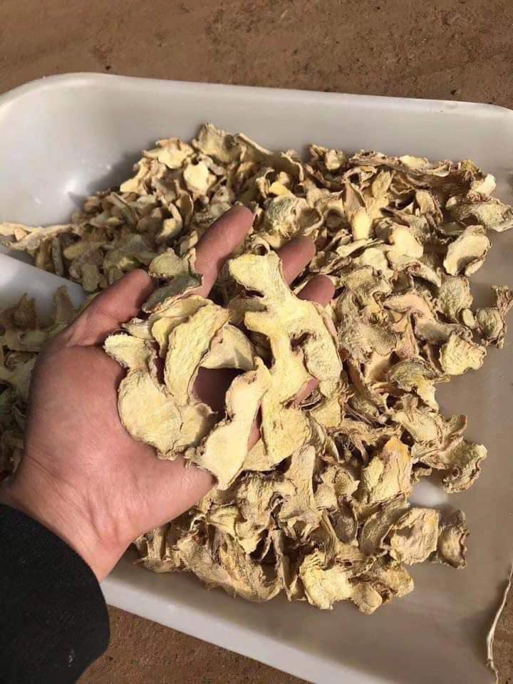 502586661_3504439823026026_3489370209926049058_n