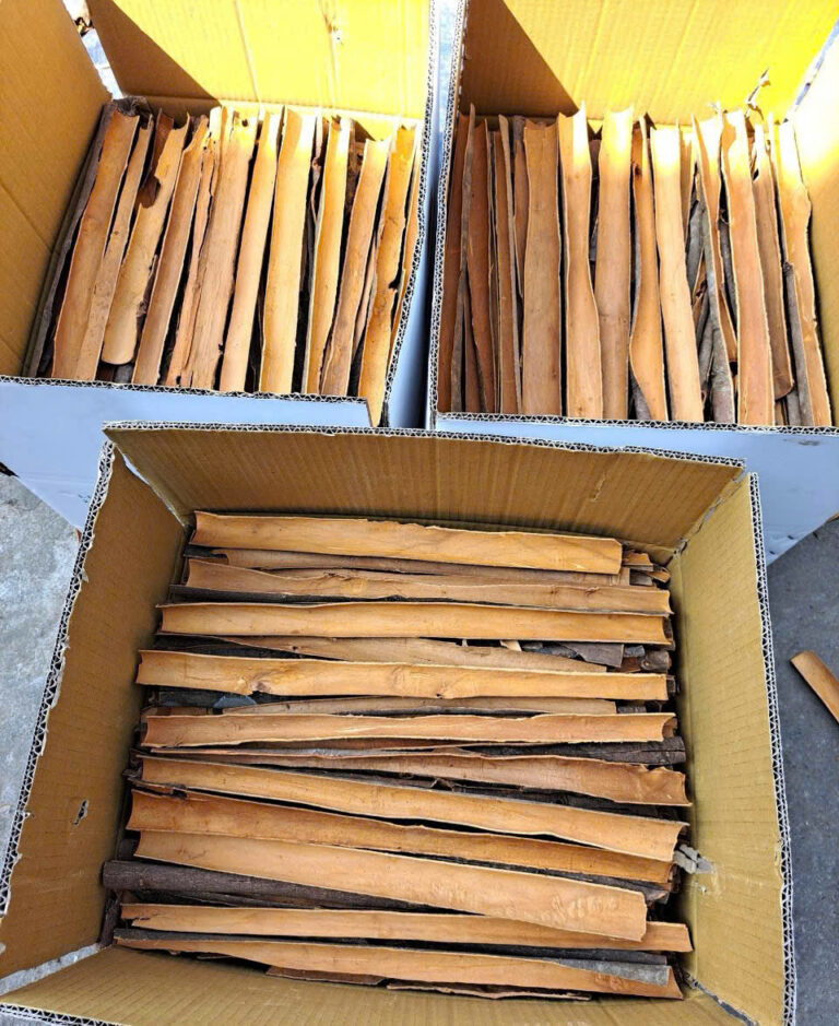 z6871975673324_cd809be006eb6516883c4b7e22307391