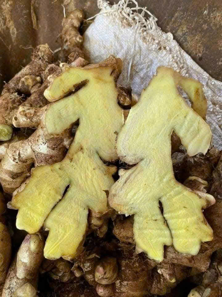 z6875924889503_fc56c7db466095d161f50b538f2ad2c3