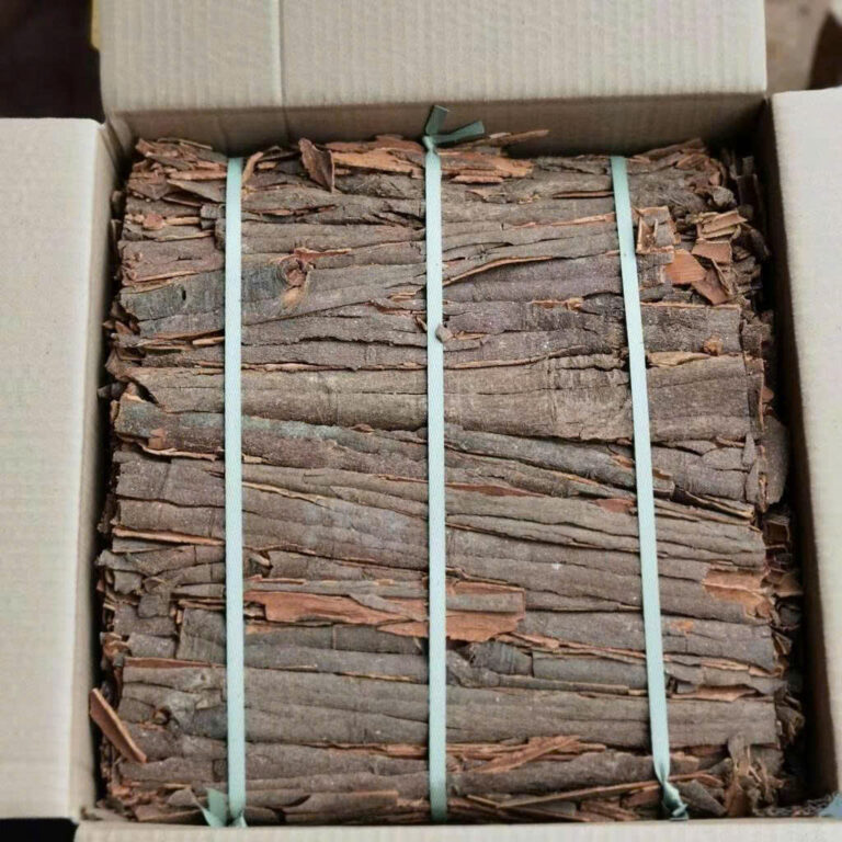 z6879859227021_be101bfc88244e73ac9ab97688921acd