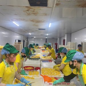 Premium Dried Fruits – Natural, Healthy & Ready for Export