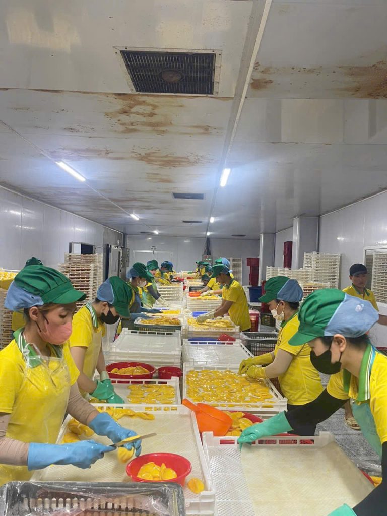 612377a1f0c17f9f26d08